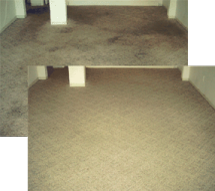 Before and After