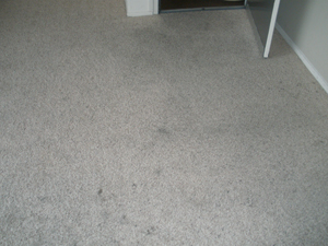 Carpet Cleaning Mountain View Ca Carpet Cleaning Carpet Cleaning Mountain View Carpet Cleaning Mountain View Ca Carpet Cleaning Carpet Cleaning Mountain View