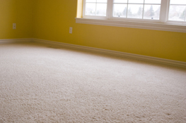 Clean Hardwood Floor