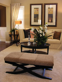 Local Carpet Cleaner