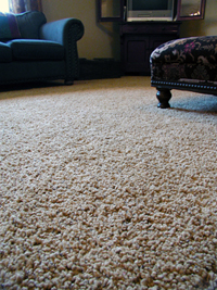Clean Carpet Floor