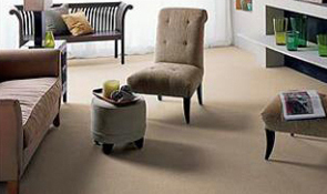 Carpet Cleaning Springdale