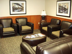 Clean Leather Chairs in Office