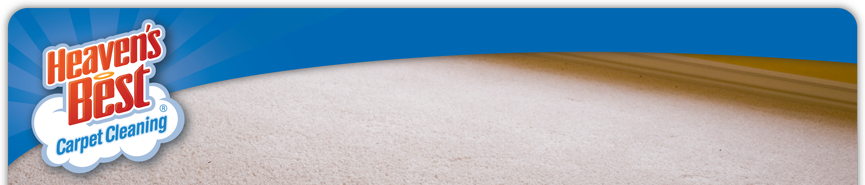Carpet Cleaning
