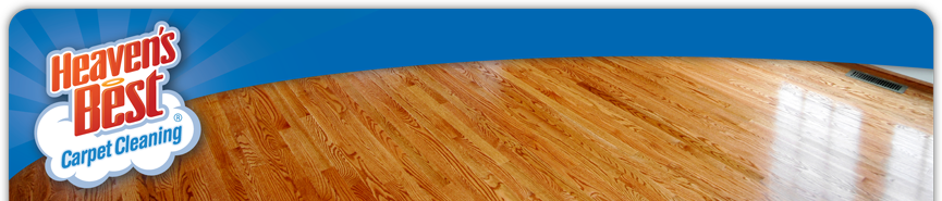Hardwood Floor Cleaning