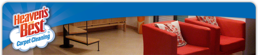 Upholstery Cleaning