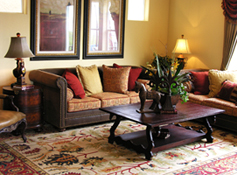 Clean Area Rug