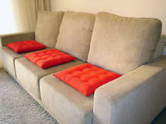 Upholstery Cleaner