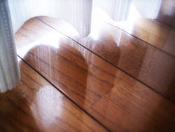Clean Hardwood Floor