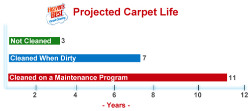 Extend the life of your carpet.